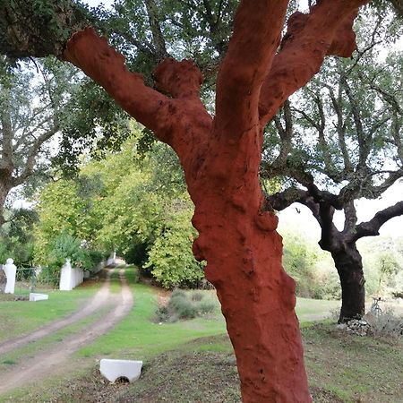 Monte Do Serrado De Baixo Evora Luaran gambar